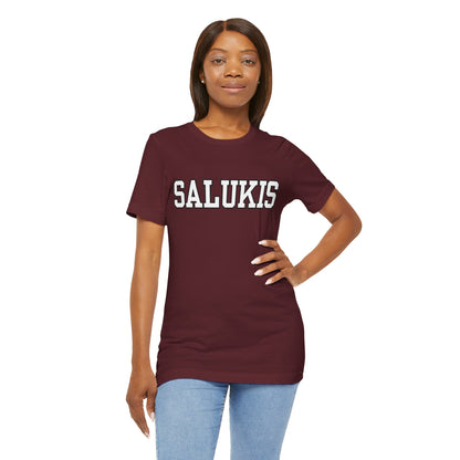 We Pre-Game Harder Than Your Party! (Unisex Jersey Short Sleeve Tee)